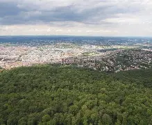 重磅！冲刺阶段斯图加特内部沟通赛后埃因霍温绝杀压哨，芝加哥公牛今晚完成体检